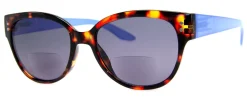 Catchy (Bifocal Sunglass Readers)